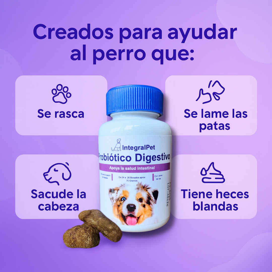 Probiótico Integral Pet™️ | FORMULA 100% NATURAL | RECUPERA LA SALUD DE TU PERRO ✅