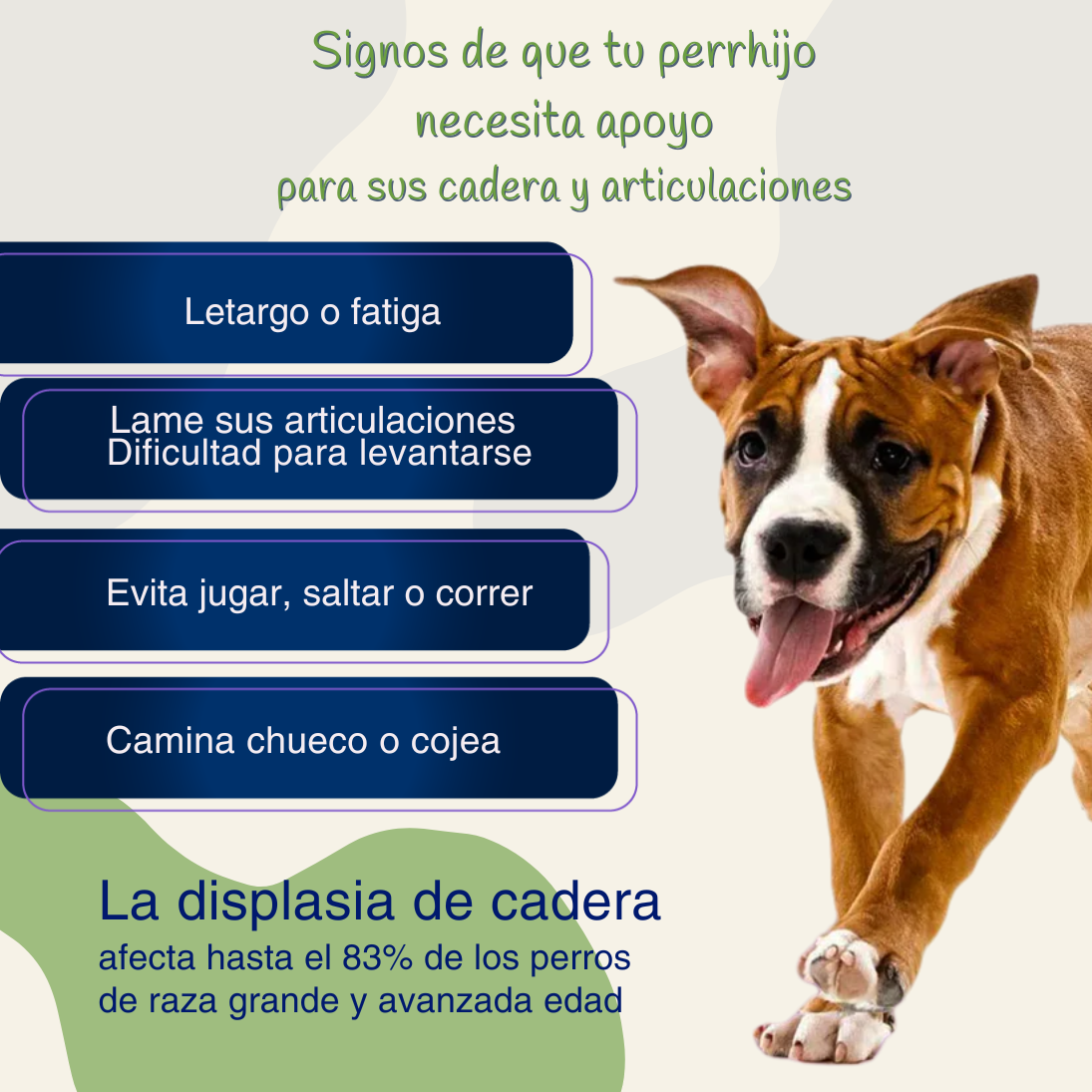 FlexiCan Forte™ Salud Articular y Movilidad sin limites | PROMO 2x1 🎁