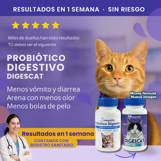🔴PROMO INICIO DE AÑO🔴Probiótico IntegralPet™️DIGESCAT | Suplemento Natural 3 en 1 | Registro sanitario ✅
