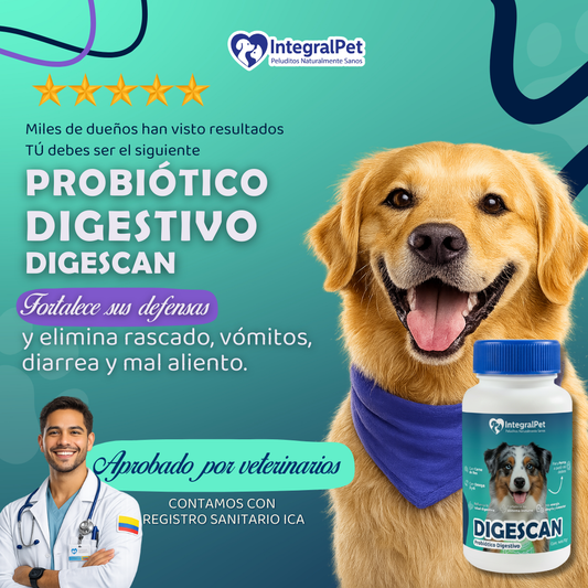 🐶PROMO INCIO DE AÑO 🐶Probiótico Digestivo Digescan™️ | FORMULA 100% COMPROBADA | RECUPERA LA SALUD DE TU PERRO ✅