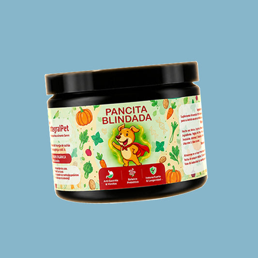 Pancita Blindada™ | Bienestar digestivo para perros