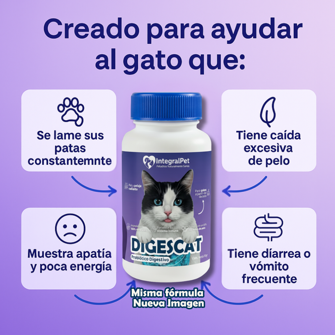 🔴PROMO INICIO DE AÑO🔴Probiótico IntegralPet™️DIGESCAT | Suplemento Natural 3 en 1 | Registro sanitario ✅