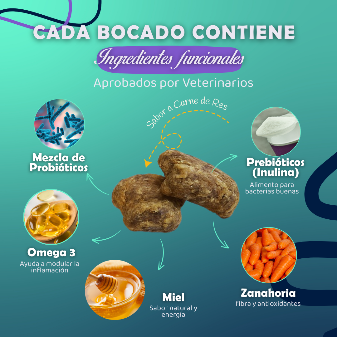 SUPER PROMO | PROBIOTICO DIGESCAN | BLINDAJE NATURAL | REGISTRO ICA ✅
