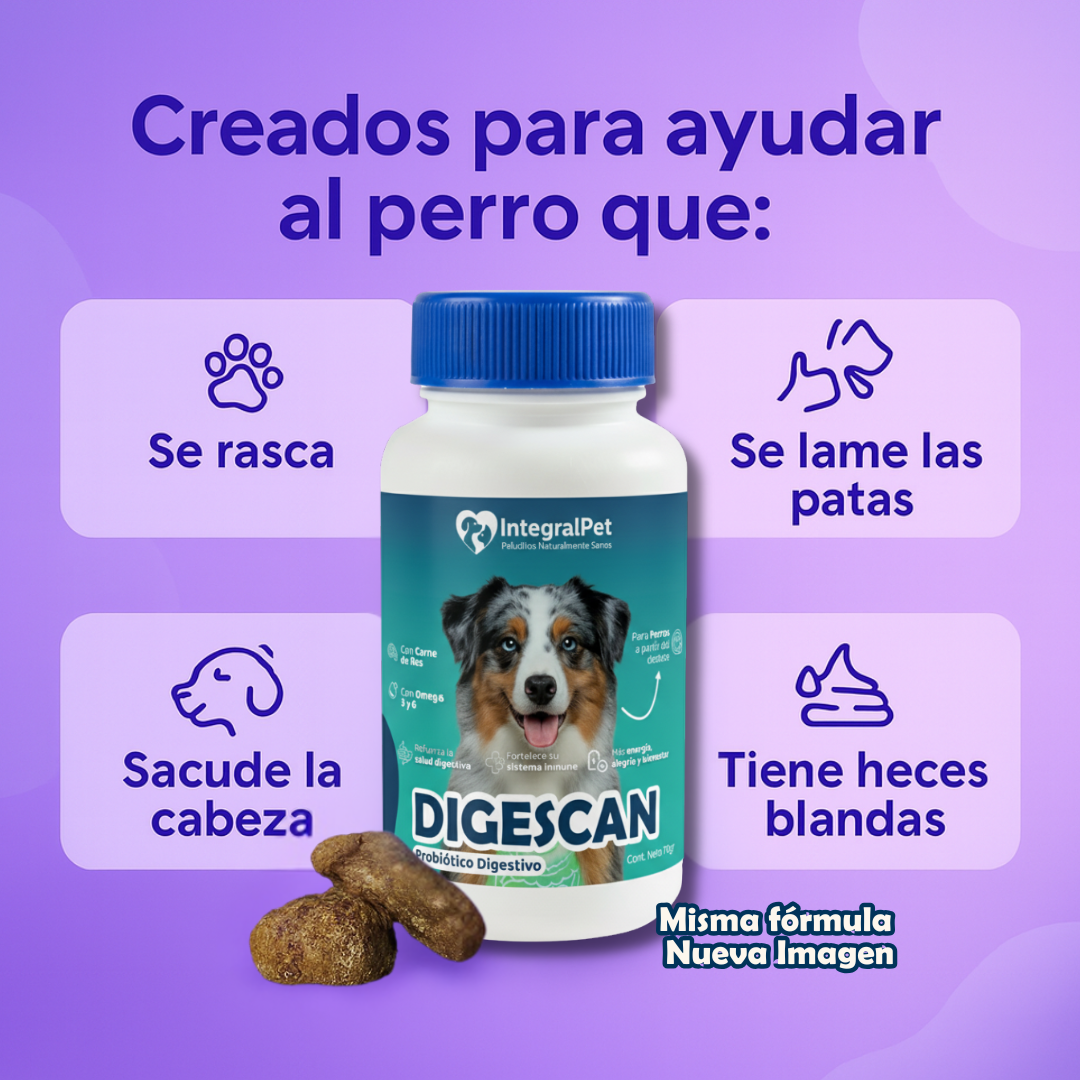 🔴PROMO INCIO DE AÑO 🔴Probiótico IntegralPet™️ | FORMULA 100% COMPROBADA | RECUPERA LA SALUD DE TU PERRO ✅