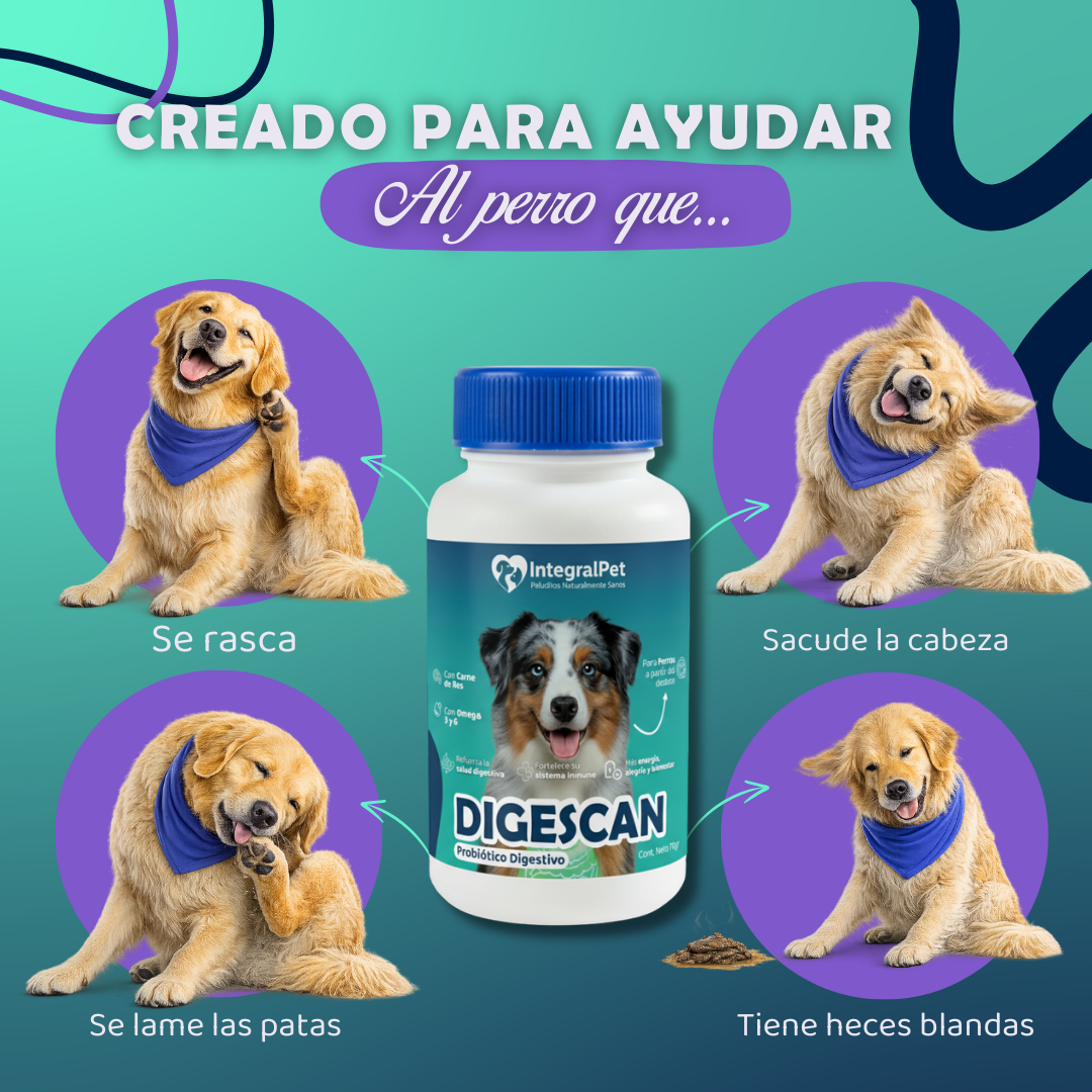 SUPER PROMO | PROBIOTICO DIGESCAN | BLINDAJE NATURAL | REGISTRO ICA ✅