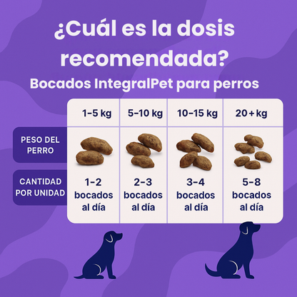 Probiótico Integral Pet™️ | FORMULA 100% NATURAL | RECUPERA LA SALUD DE TU PERRO ✅