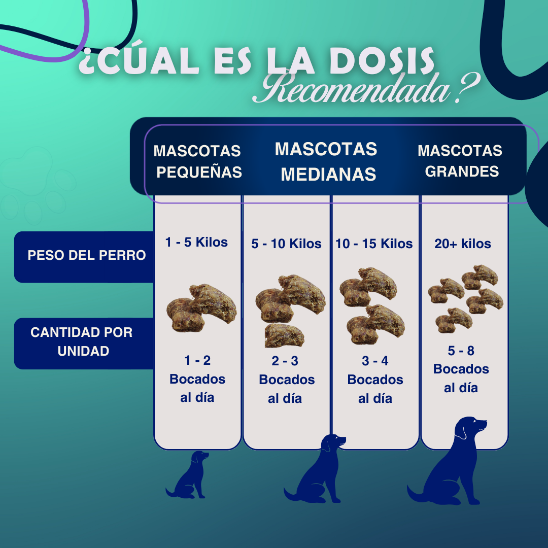 SUPER PROMO | PROBIOTICO DIGESCAN | BLINDAJE NATURAL | REGISTRO ICA ✅
