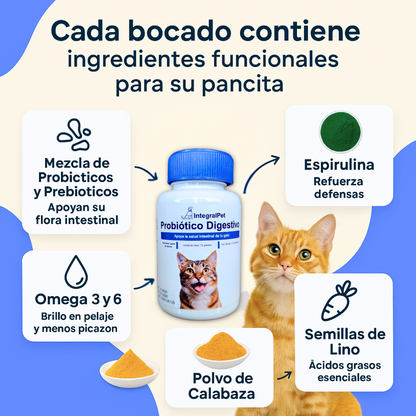 Probiótico Integral Pet™ Gatos | Fórmula Natural Restaurativa™ 🌿 💚