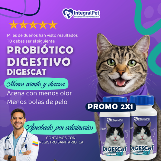 😺PROMO INCIO DE AÑO 😺Probiótico Digestivo Digescat™️| Suplemento Natural 3 en 1 | Registro sanitario ✅