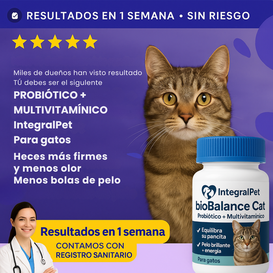 BioBalance Cat | Multivitaminico Natural 3 en 1 | Registro sanitario ✅