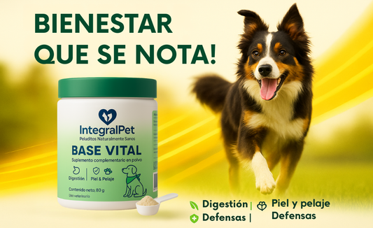 BASE VITAL ™ Salud Articular y Movilidad sin limites | PROMO 2x1 🎁