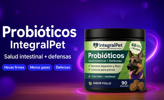 Probiótico Digestivo™ Salud Intestinal siempre | PROMO 2x1 🎁