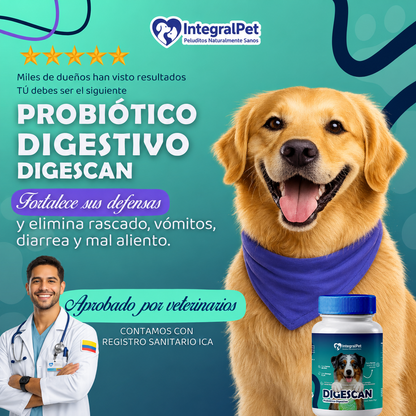 Probiótico Digestivo Digescan™️ | FORMULA 100% COMPROBADA | Registro ICA ⭐