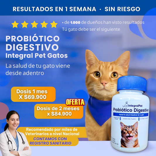 Probiótico Integral Pet™ Gatos | Fórmula Natural Restaurativa™ 🌿 💚