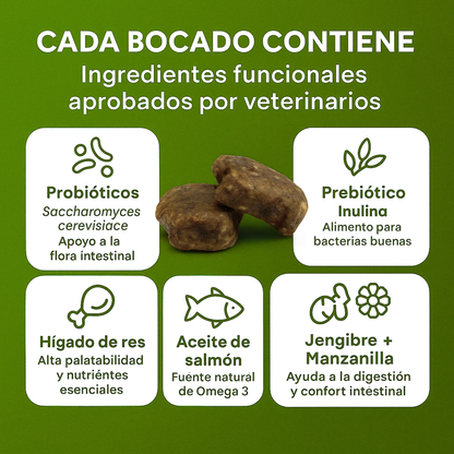 🔴PROMO INICIO DE AÑO 🔴Probiótico enzimas digestivas™ Salud Intestinal siempre | PROMO 2x1 🎁