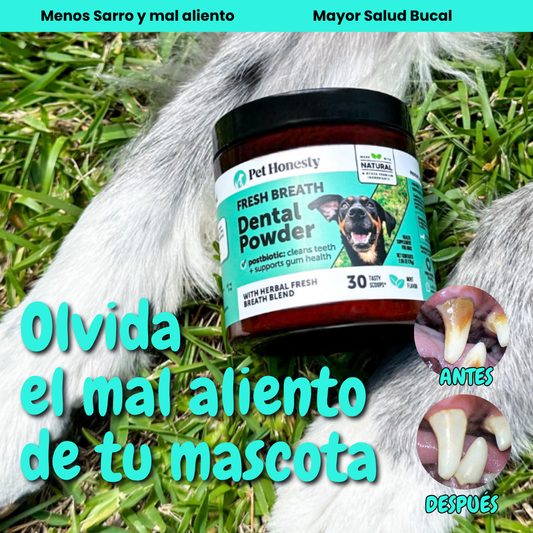 Dental Powder™ Aliento fresco y salud dental Para Perros