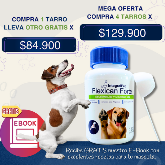 FlexiCan Forte™ Salud Articular y Movilidad sin limites | PROMO 2x1 🎁