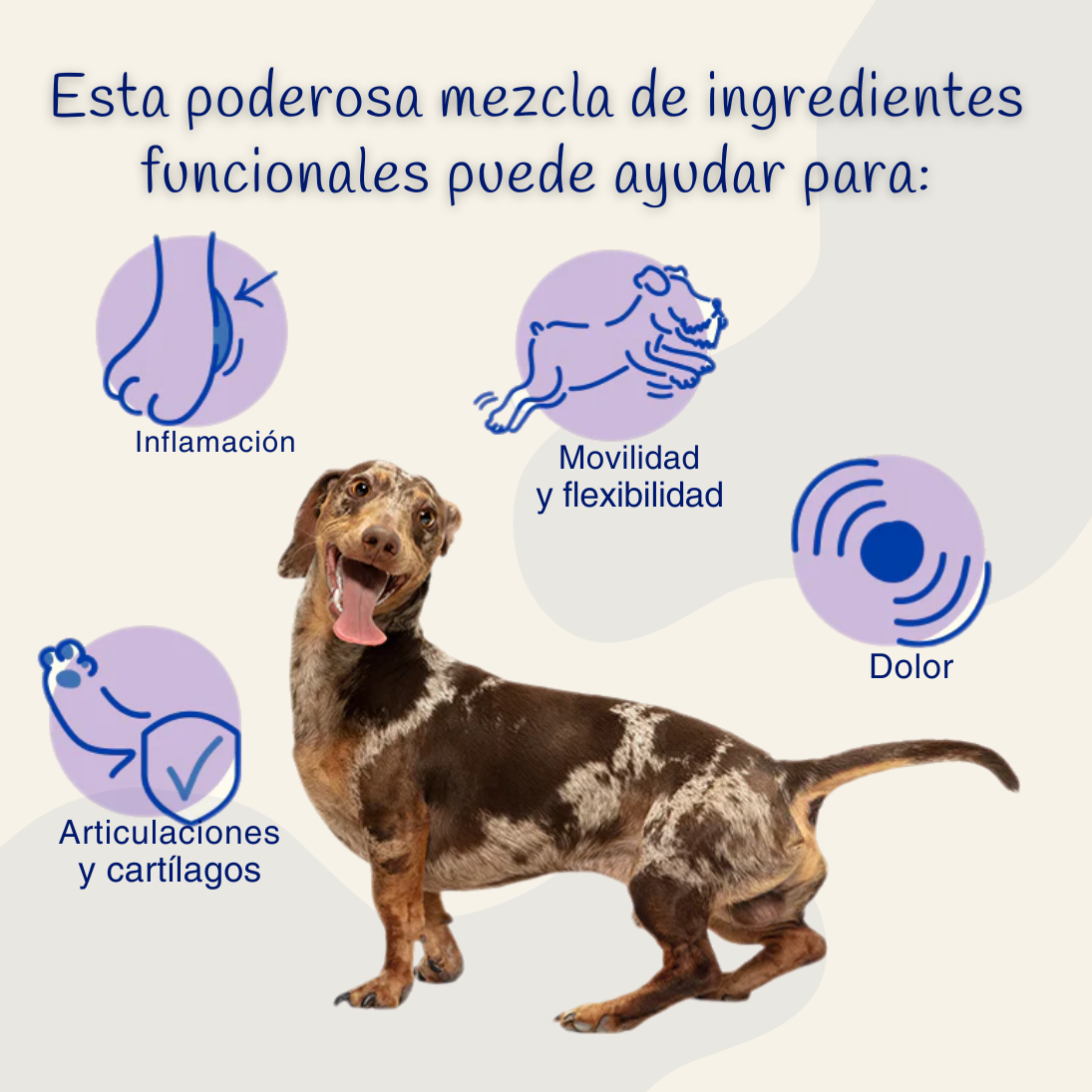 🔴PROMO INICIO DE AÑO 🔴MOVILIDAD TOTAL™️ | Salud Articular y Movilidad sin limites | PROMO 2x1 🎁