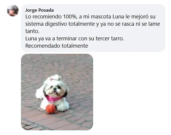 Comentario de cliente 1