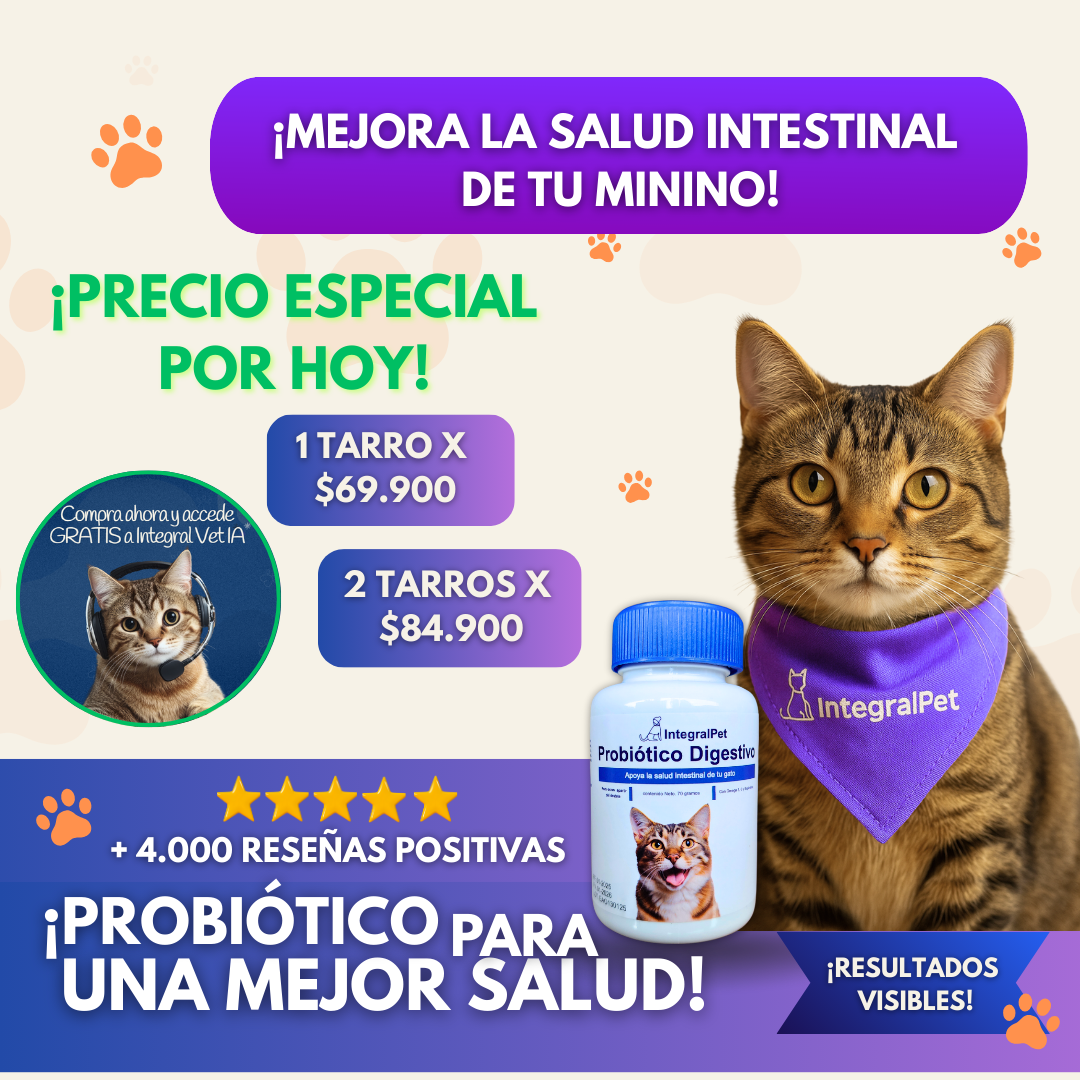 Probióticos Integral Pet Gatos™️ Salud Digestiva y Defensas Fuertes para tu Gato | registrado ✅