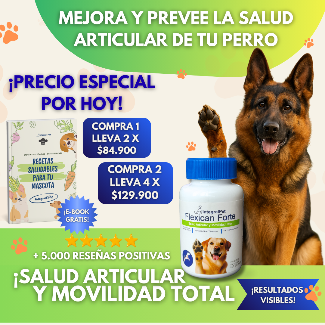 FlexiCan Forte™ Salud Articular y Movilidad sin limites | PROMO 2x1 🎁 |  registrado ✅