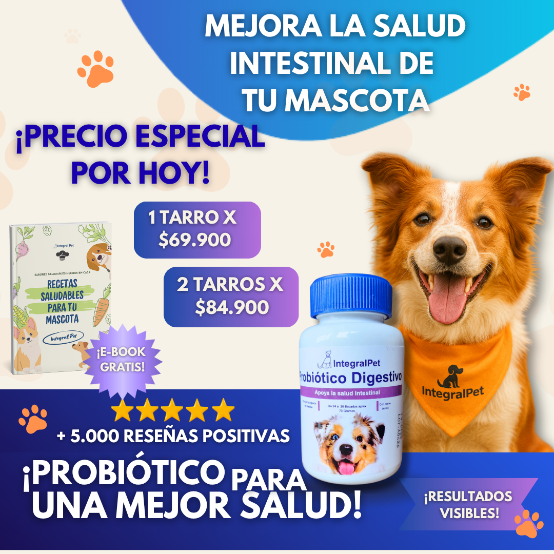 Integral Pet™️ El Refuerzo Perfecto para su Salud Digestiva | Registrado ✅